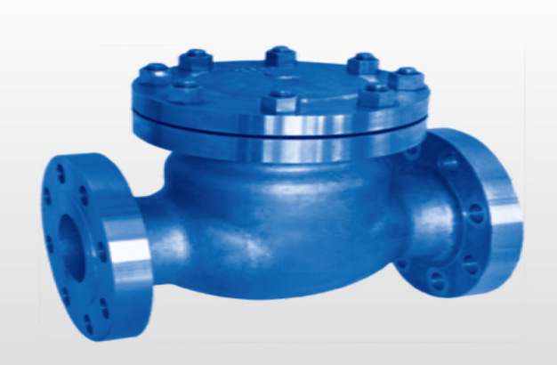 Cast iron swing check valve